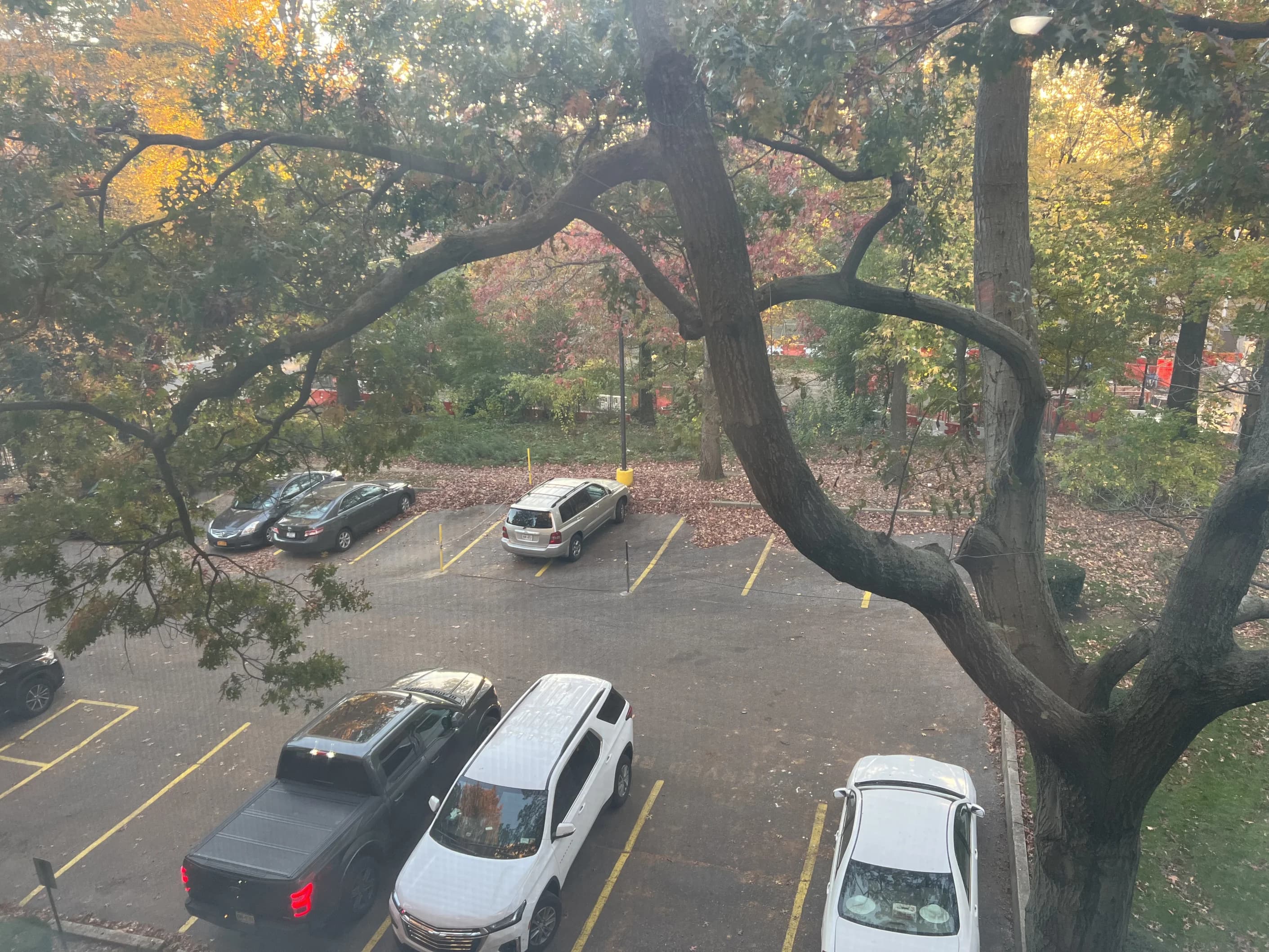 166-05 Highland Avenue #7T, Queens, NY 11432 100