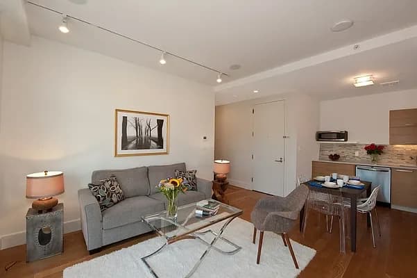 The Plex 958 Nostrand Avenue #2M, Brooklyn, NY 11225 apartment_living_room 1
