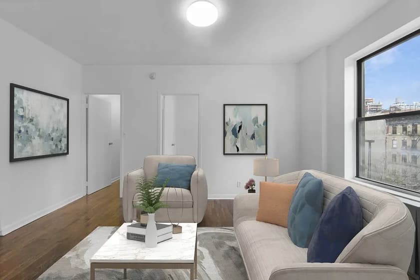 205 Allen St #28, Manhattan, NY 10002 apartment_living_room 1