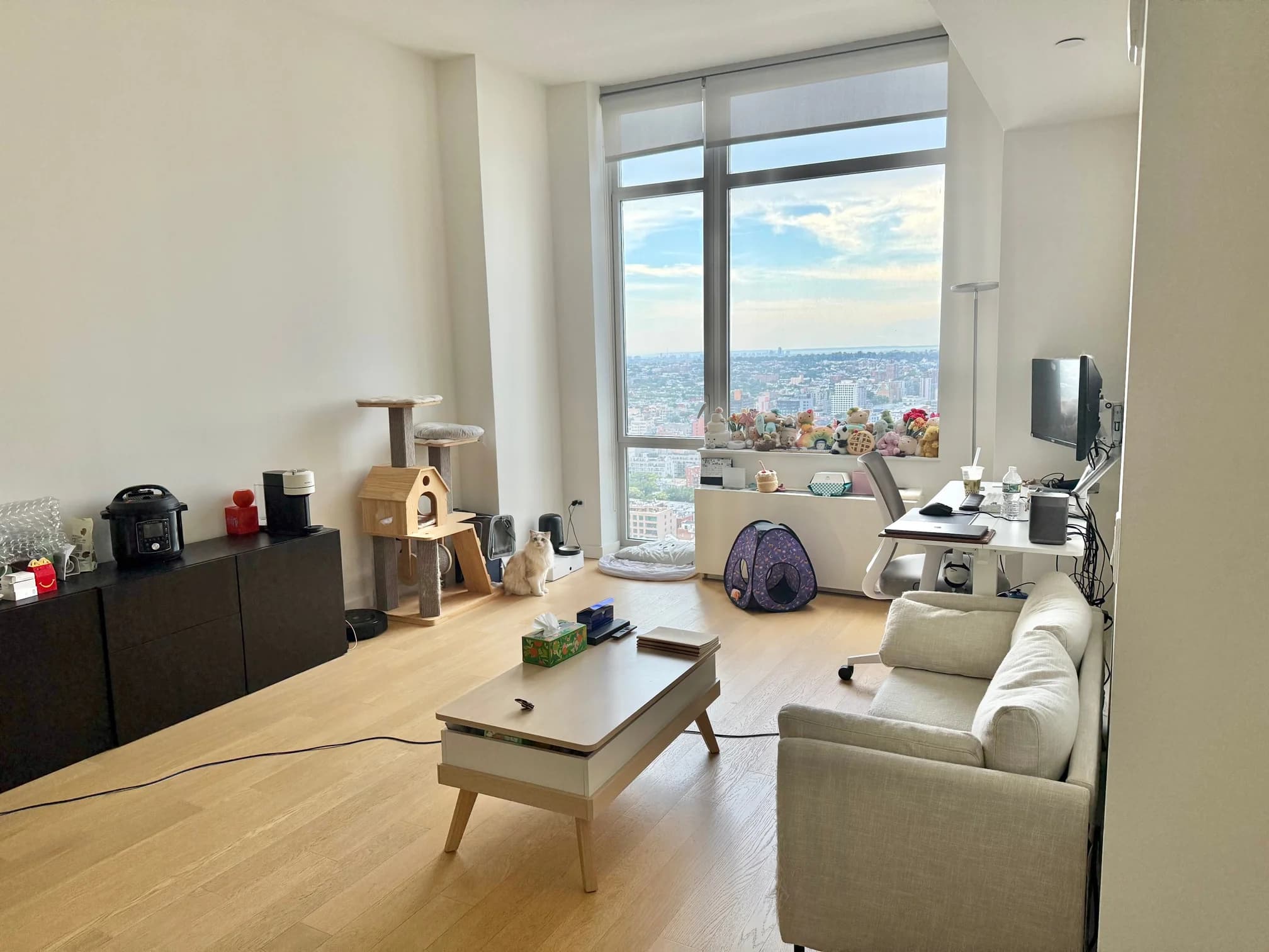 Hub 333 Schermerhorn Street #34M, Brooklyn, NY 11217 1