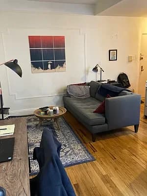 230 Thompson Street #12, Manhattan, NY 10012 apartment_living_room 1