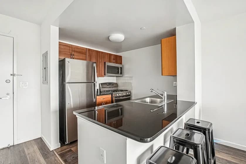 229 Chrystie Street #733, Manhattan, NY 10002 apartment_kitchen 10